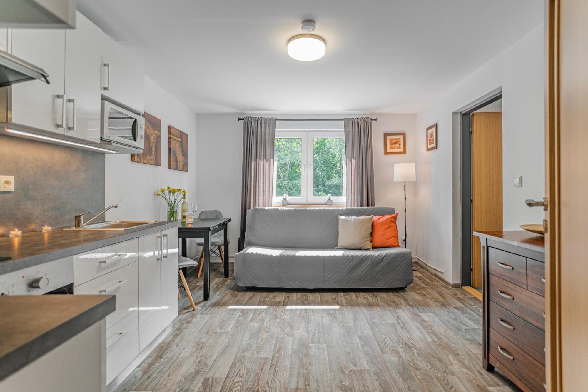 Apartman Horalka بيتس بود سنيزكو المظهر الخارجي الصورة